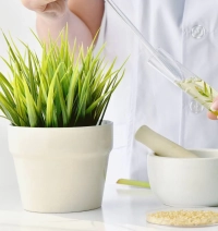 Plant-Powered Ingredients
